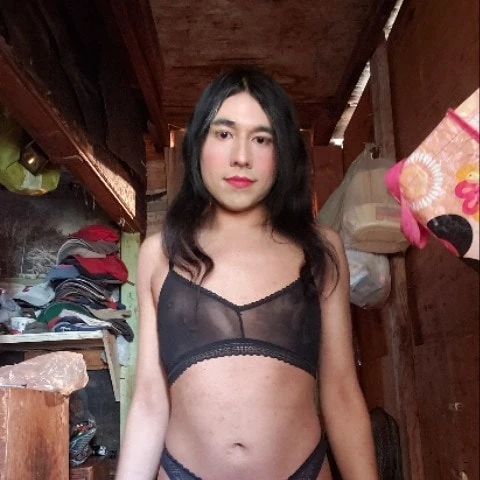 LauraSafari