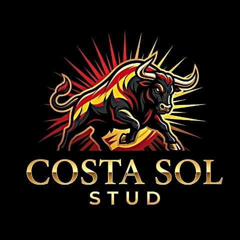 CostaSolStud
