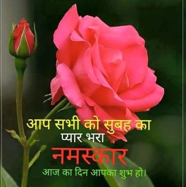 7906651270