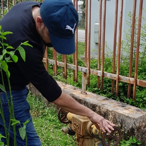 Malayacock