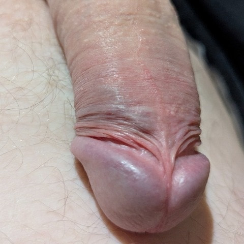 I_love_pussy82