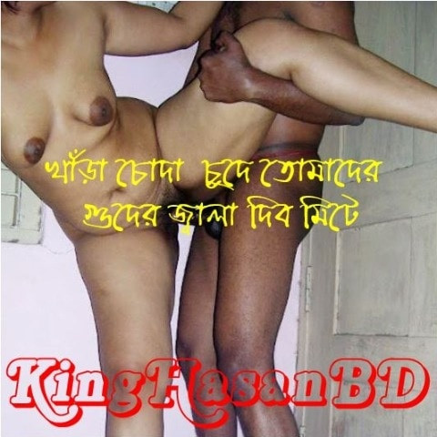 kingHasanbd