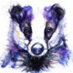 GrumpyBadger