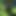 warlocks
