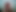 wilbnude