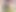 Pan_66