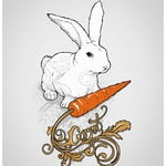 Mr_Carrot