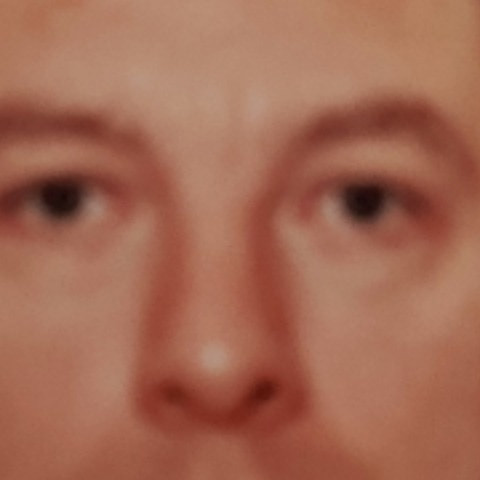 ImmaterialBee85