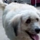ColdAnalysis4