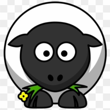 StarSixFour