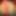 i_love_indian_cock