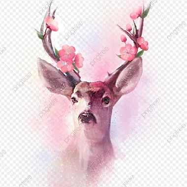 DeerFlower