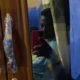 Campbellgodfred
