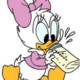 daisy_baby