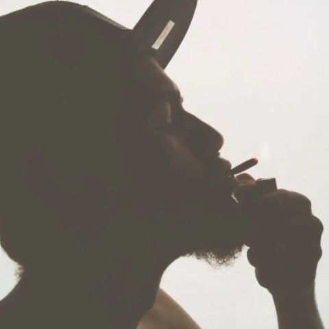 mnovaes