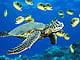 greenturtle