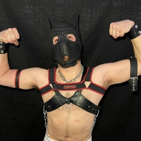 StraydogX