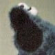 GuinessIsGod