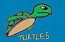 turtlesraar