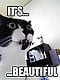 jinxycat