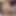 Animations81