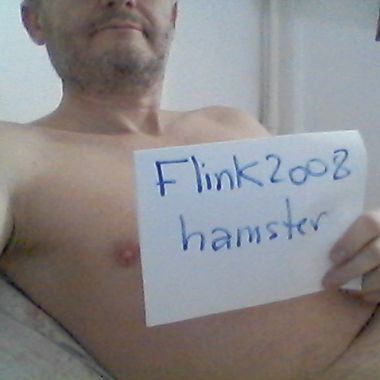 flink2008