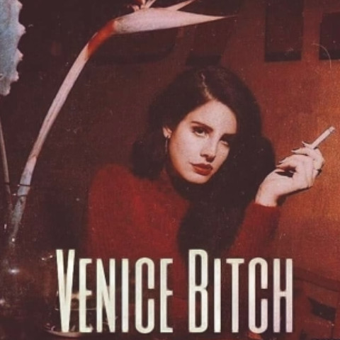 Venice_bitch