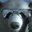 polarbear30