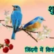Desi_ajay99