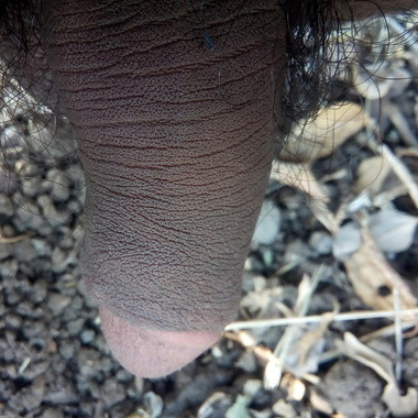 5kunalsex