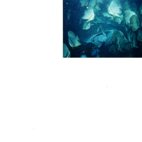 scuba_ski
