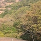 Karankann
