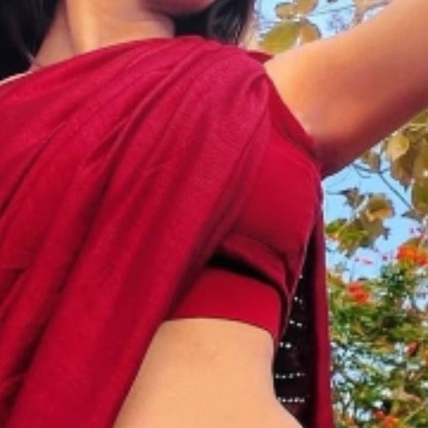 Desi_gallary