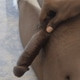 Macha000