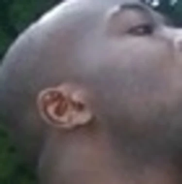 karbon_rod