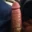 Big_D86