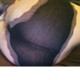 Pantybaron