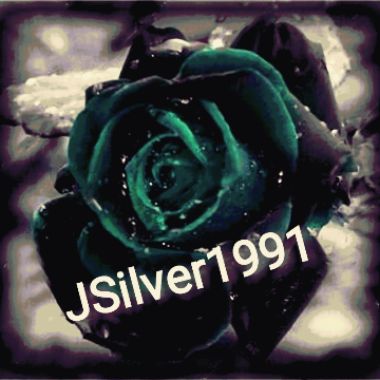 Jsilver1991