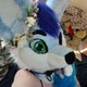 BlueHusky98uwu