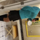 BriannaCDSlut
