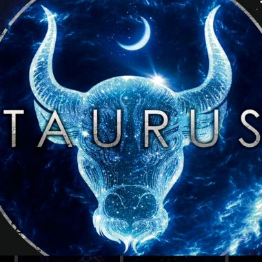 The-Taurus