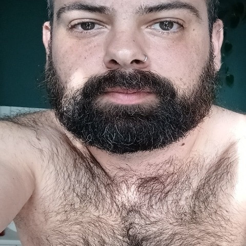 germanpisspig