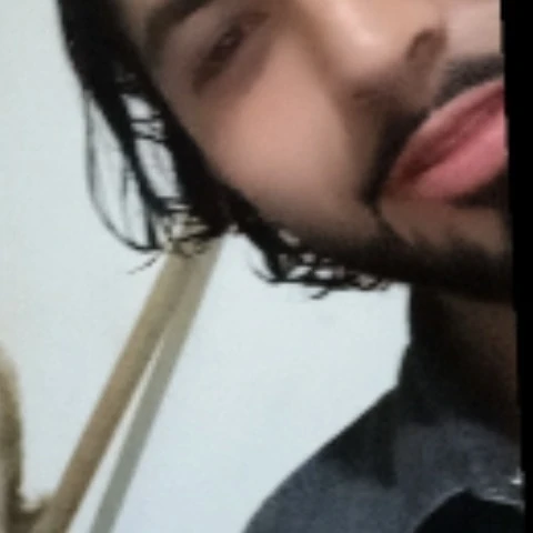 Vergonpaisa