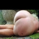 TS-SLUTY