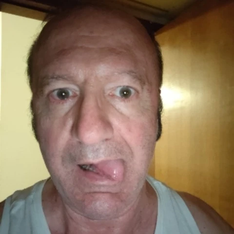 Piggypornslave