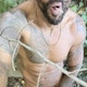 Viferlack1