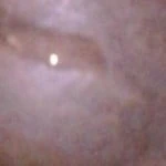 mydick4urpleasure