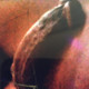 peezymp