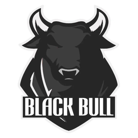 mr_black_bull