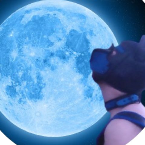 BlueMoonPup